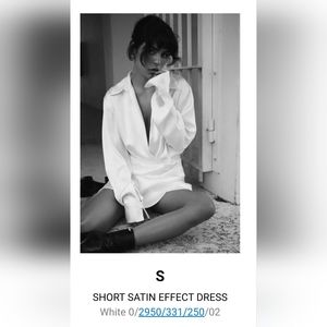 Zara Short Stain Dress Size Small